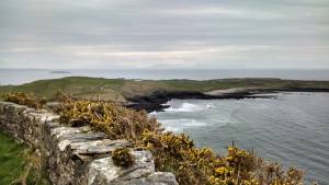 1010203_770436297699_3156486027495324547_n[1]