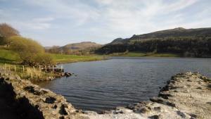 10154451_770435080139_5039626665867545826_n[1]