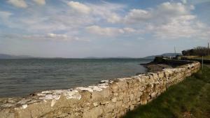 10172633_770434985329_8226835764263938042_n[2]