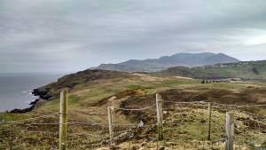 10173752_770436397499_1750361029124343858_n[1]