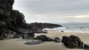 10176255_770436157979_1941695363911213259_n[1]