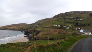 10177372_770435778739_311062279359058984_n[1]