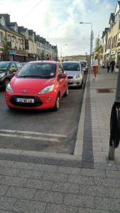 1017768_770437450389_5773890091259572336_n[1]