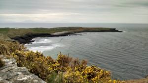 10247496_770436257779_9151811745677449714_n[1]