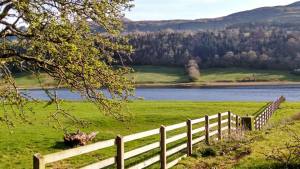 10250094_770435184929_7285510683829462760_n[1]