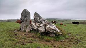 10252125_770436981329_6434264114084226068_n[1]