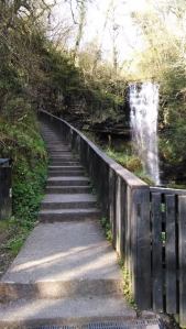 10255893_770435244809_1742530781645181915_n[1]