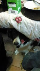 10271535_770435823649_8505133306593746590_n[1]