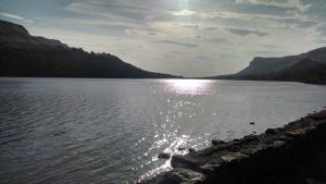 10277076_770435060179_3049578654671023176_n[1]