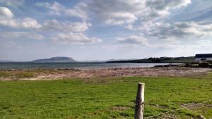 10289834_770434920459_7236074953054747127_n[1]