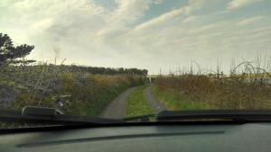 1622070_770435030239_11676326907939882_n[1]